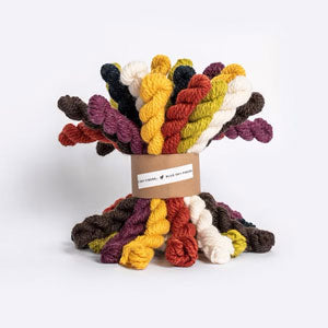 Blue Sky Fibers Woolstok Holiday Bundle Kits
