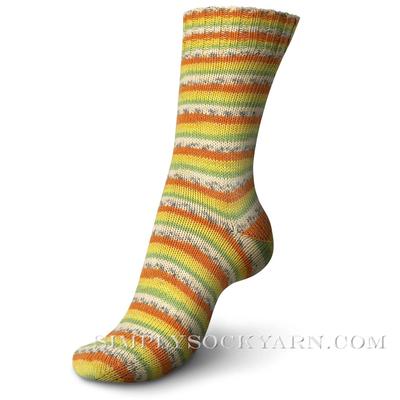 Regia Tutti Frutti Sock Yarn