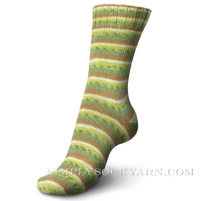 Regia Tutti Frutti Sock Yarn